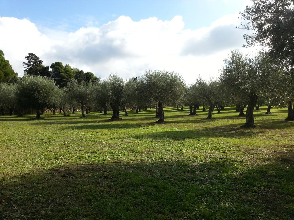 Serra E Mesu Affittacamere Magomadas Εξωτερικό φωτογραφία