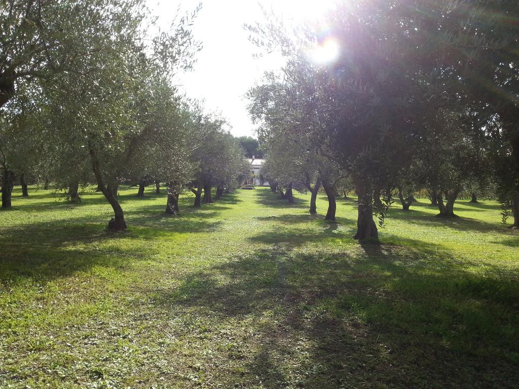 Serra E Mesu Affittacamere Magomadas Εξωτερικό φωτογραφία